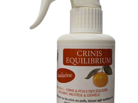 Crinis Equilibrium detail