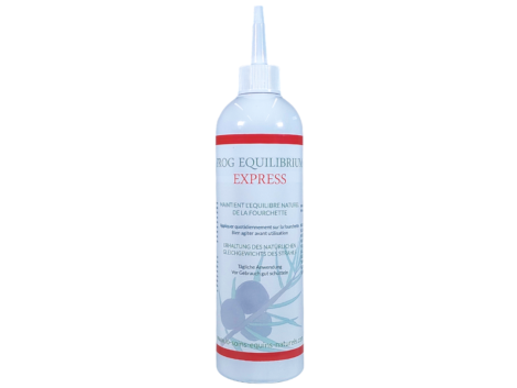 Frog Equilibrium Express