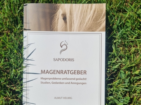 Buch Magenratgeber